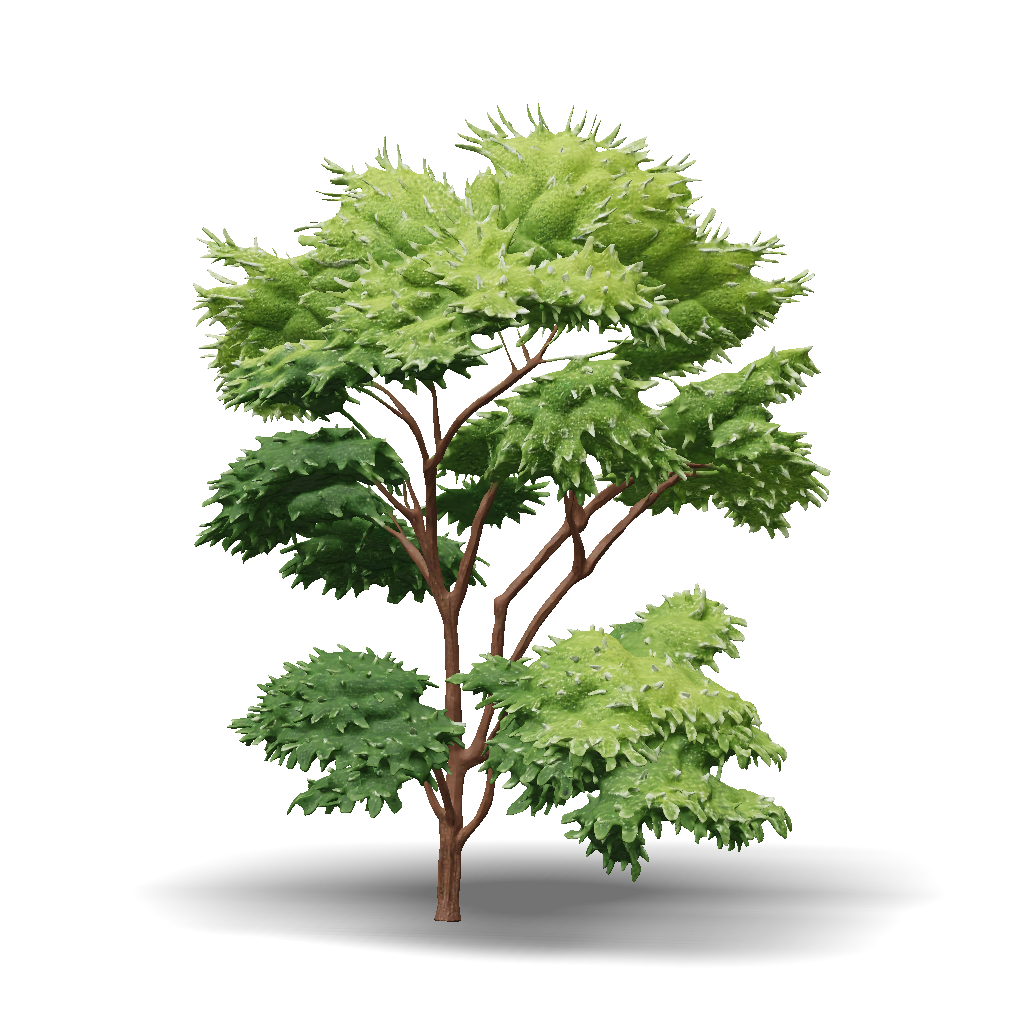 Tree 3D Model: Deciduous Tree With Dense Green Foliage And Brown Trunk