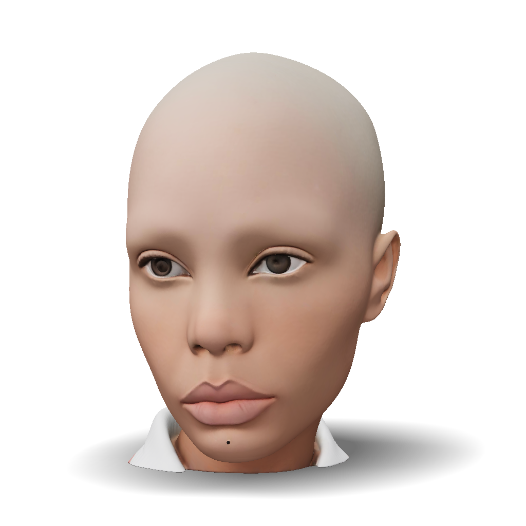 3D Model: bald head with smooth skin tone and blurred facial features