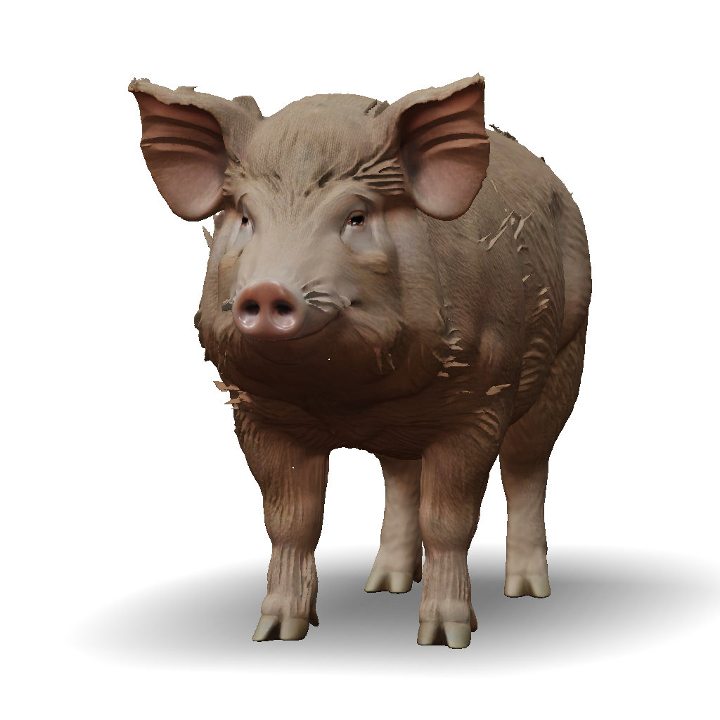 3D Model: A Highly Detailed Hyper Realistic Pig Realistic Skin Texture ...