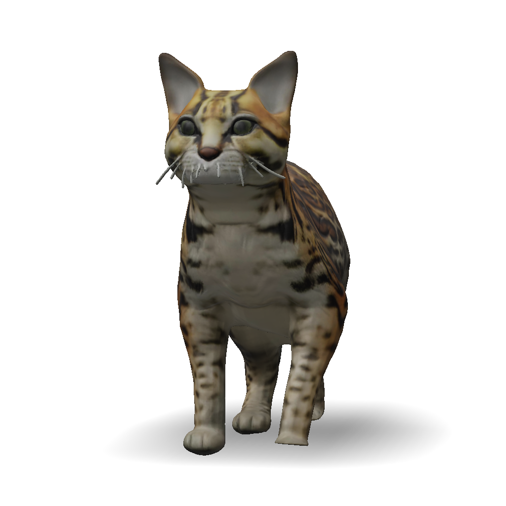 Ocelot Model 3D Model: ocelot