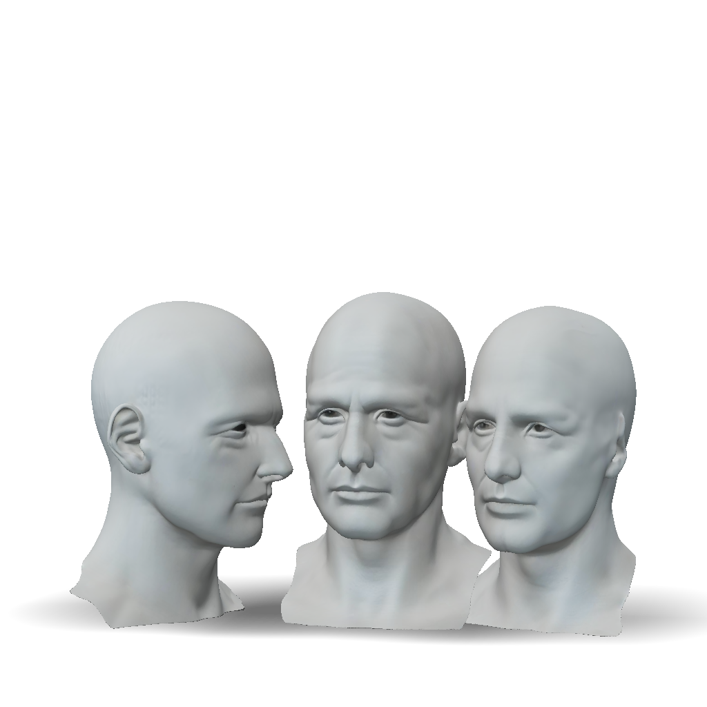 Rectangular Human Head 3D Model: human head bust with textured gray skin and large rectangular ...