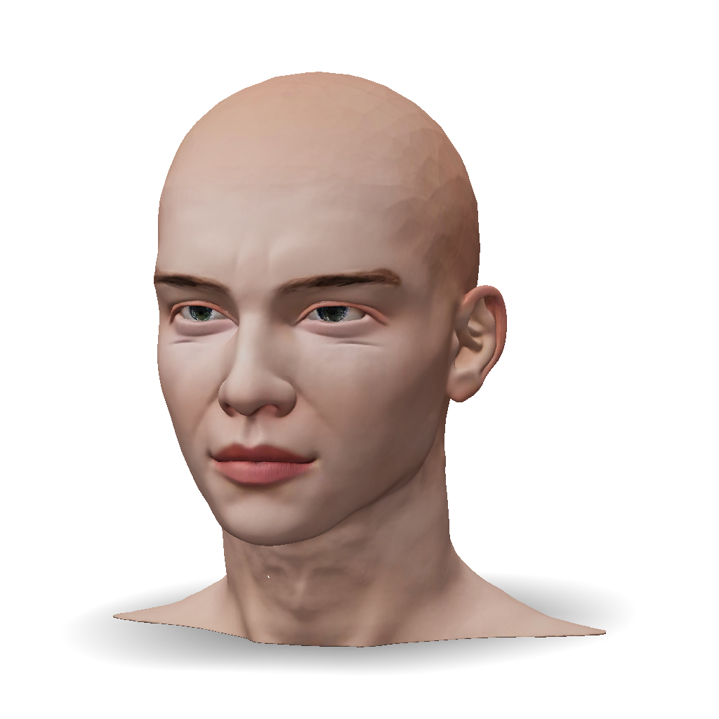3D Model: human head model with realistic skin tones and ear visible ...