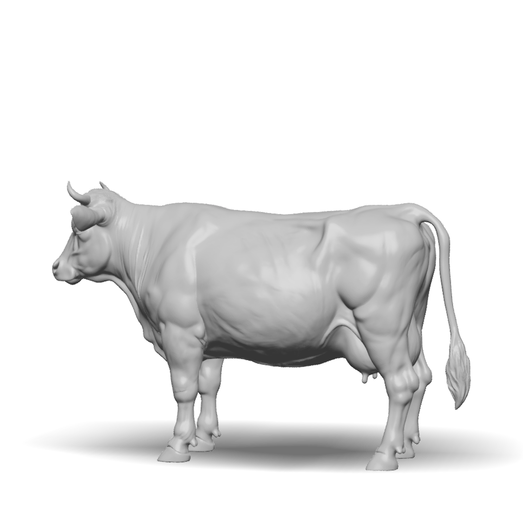 Cow Rear Model 3D Model: gray cow model with udder and detailed anatomy standing