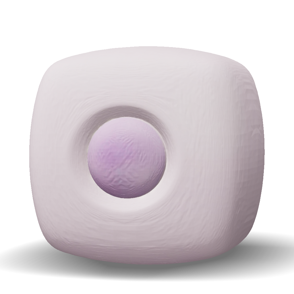 3D Model: Create a single 3D model of a simple cuboidal epithelial cell ...