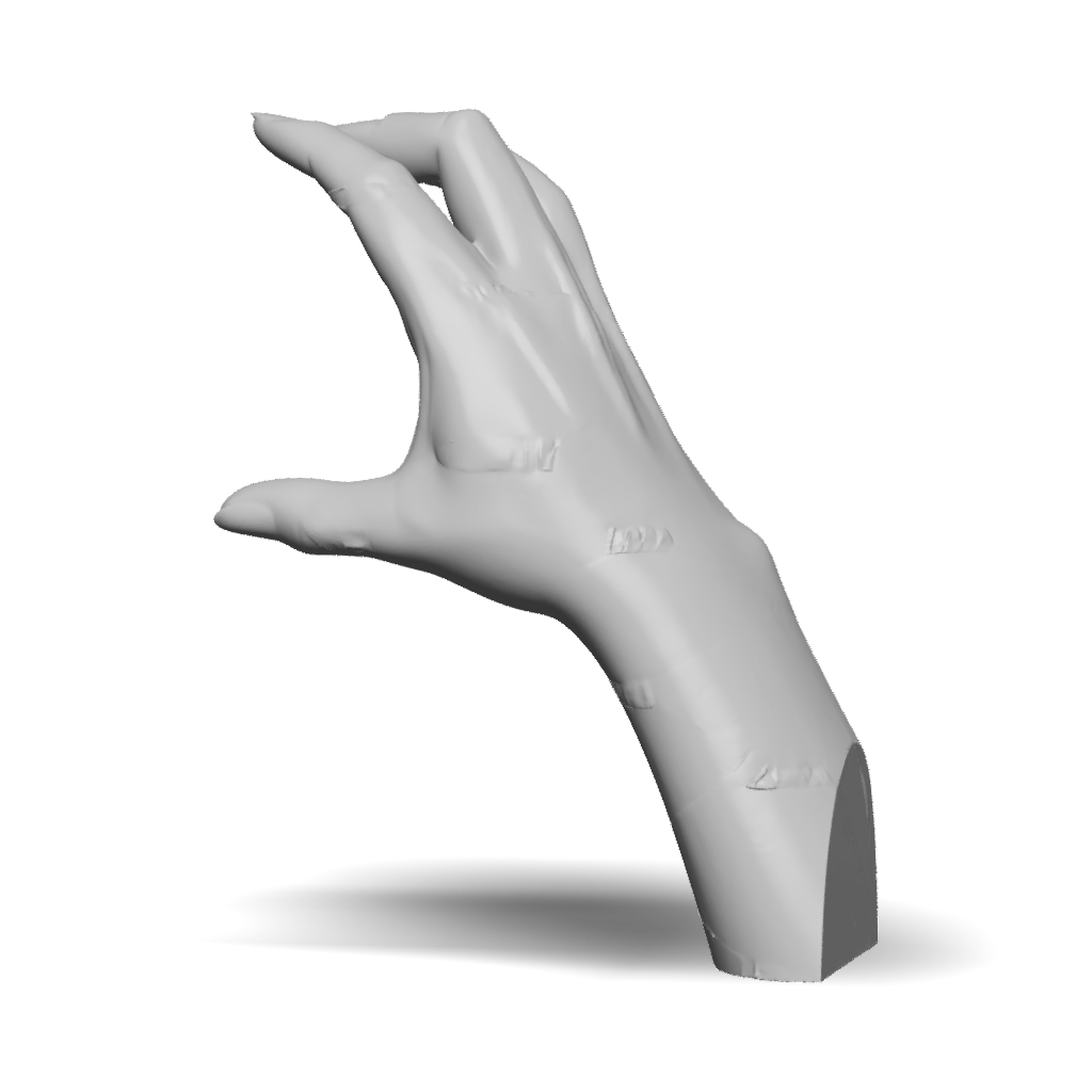 3D Model: hand model with natural skin texture and detailed fingers