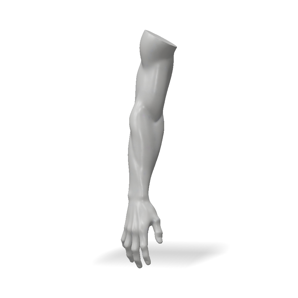 3D Model: Create A Realistic Left Human Arm Model Cut Cleanly At The ...
