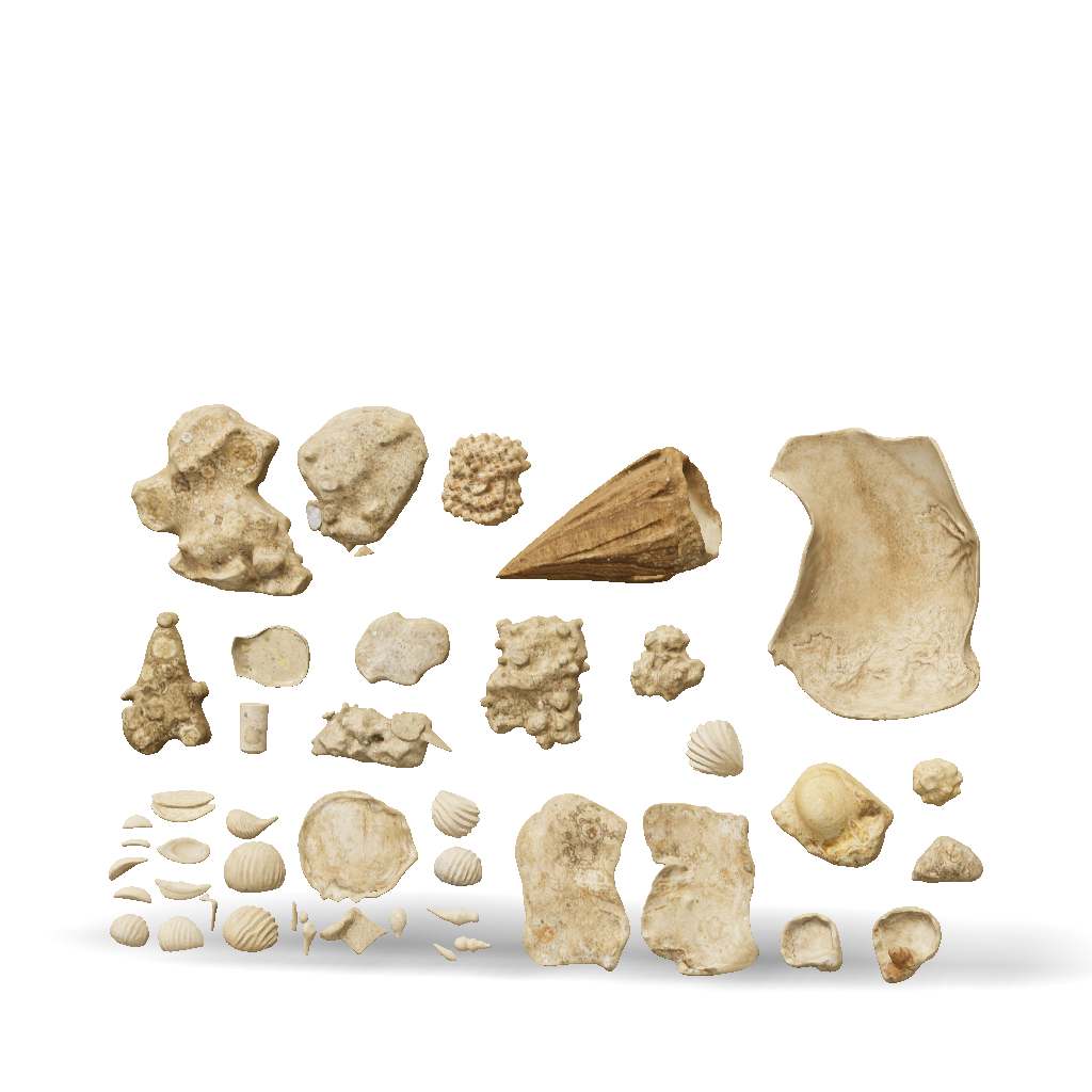Rock Samples 3D Model, Download Free Collection Of Beige Rock And Shell ...