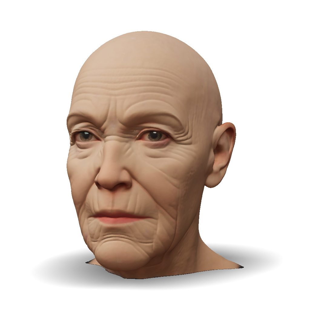 3D Model: bald head human character head with realistic skin tones and ...