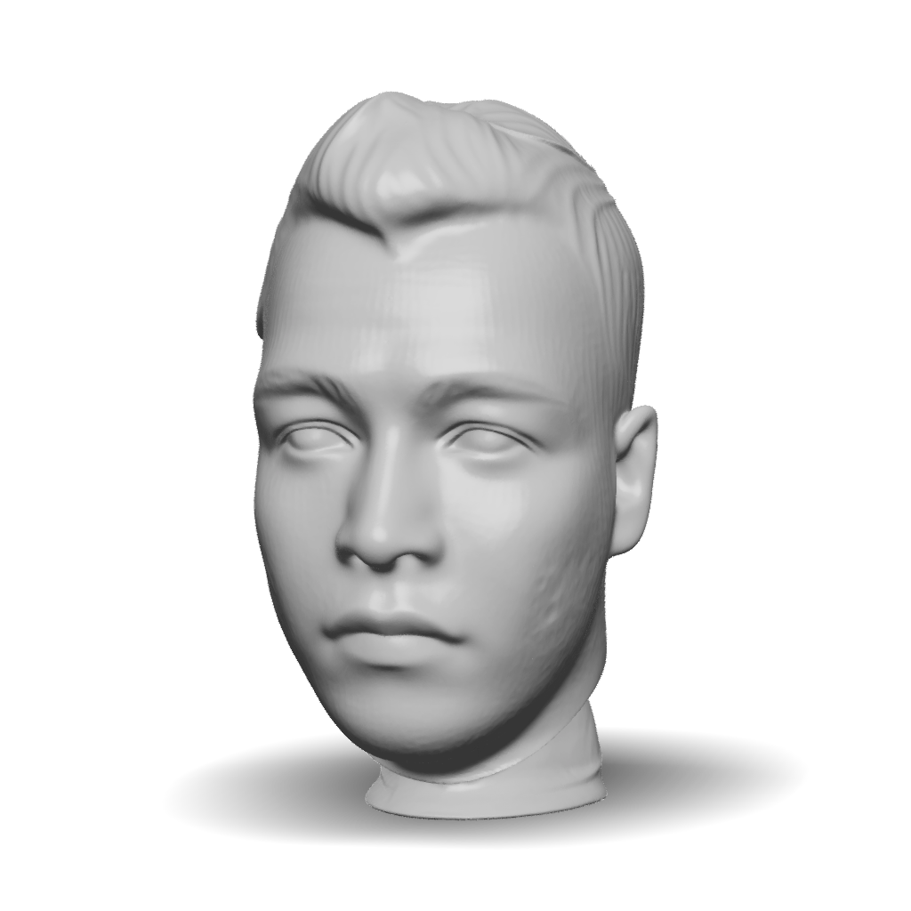 3D Model: human head with natural skin tones and hair texture