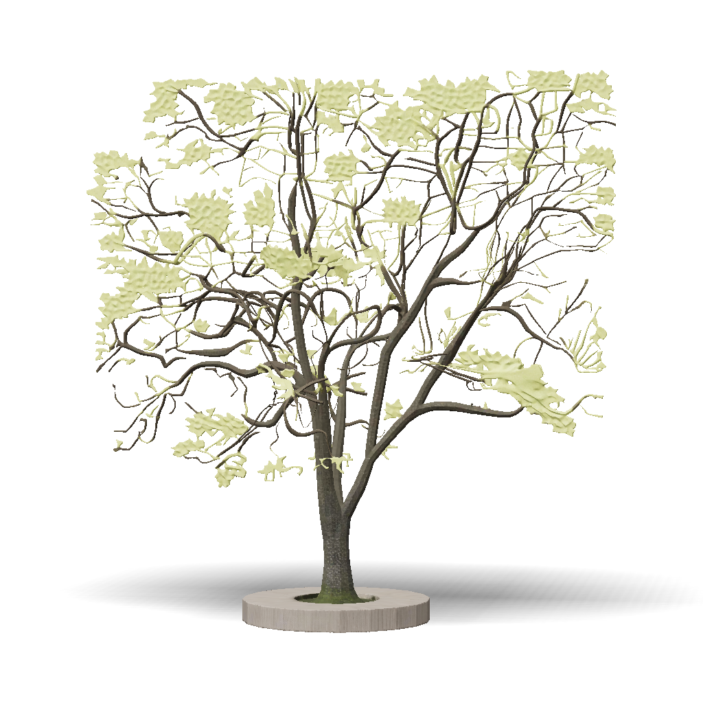 3D Model: large tree on circular wooden platform green leaves brown trunk