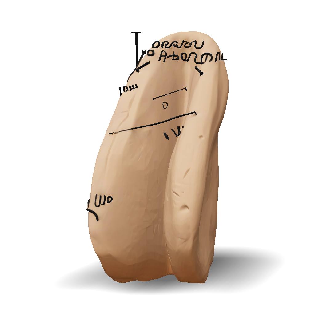 3D Model: Clay finger model with rounded sculpted edge and annotated ...