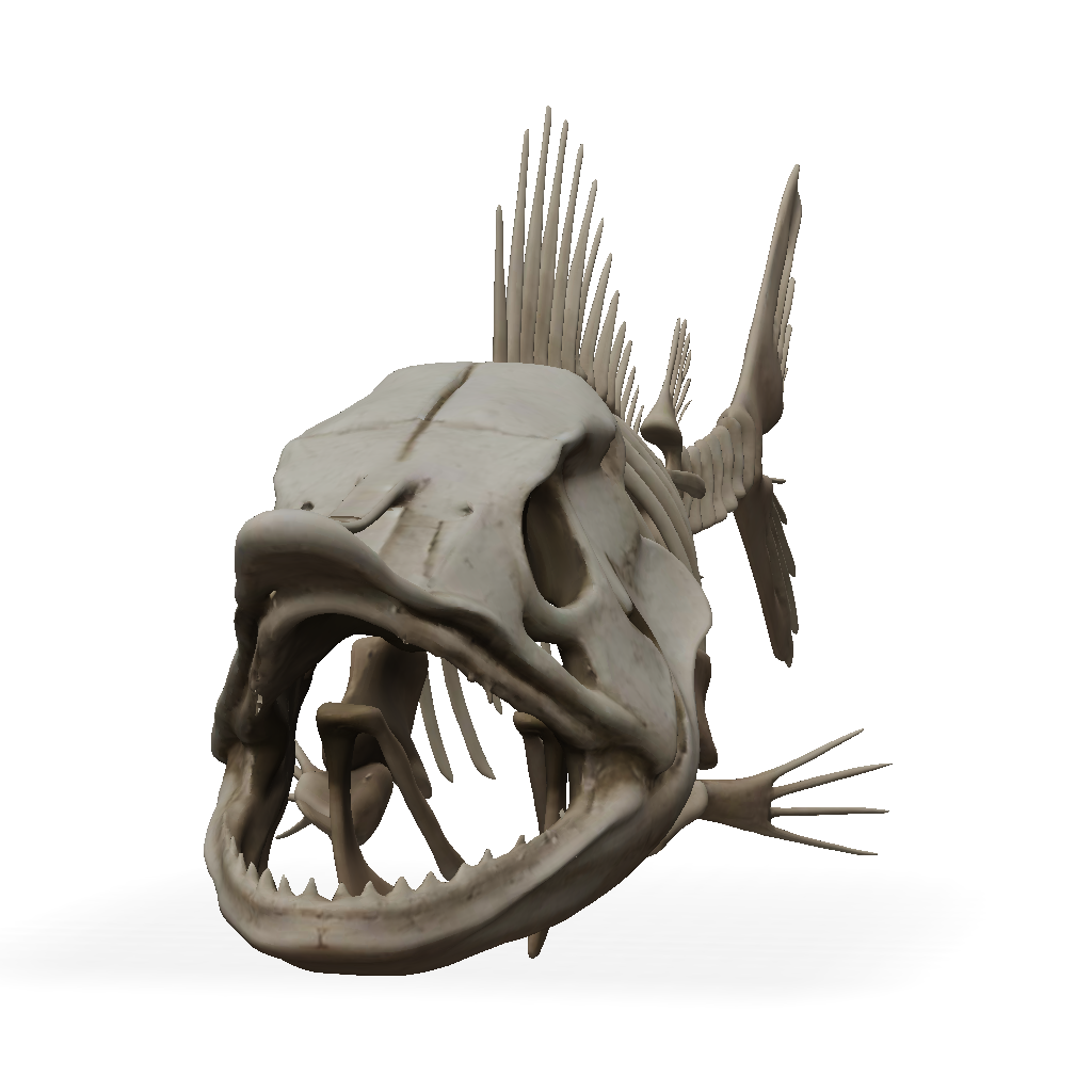 3D Model: fish skull skeleton with teeth and spine bone texture